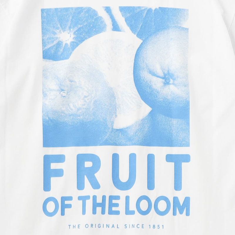 Fruit バックフォトプリントTシャツ23 | Fruit of the Loom | 公式